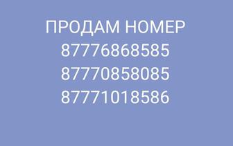 Номер билайн