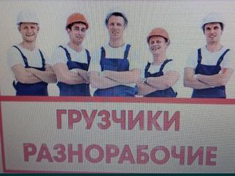 Разнорабочие