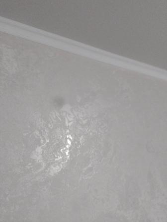 Строительство ремонт шпаклевка