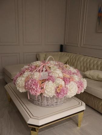 гортензия в прокат