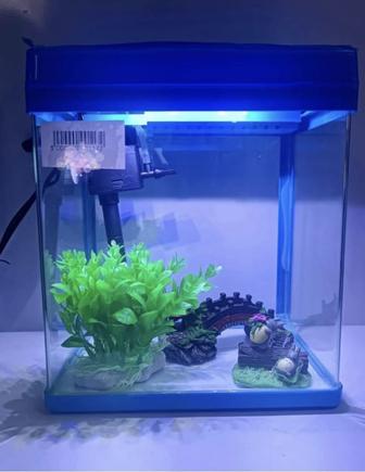 АКВАРИУМ ДЛЯ РЫБ В ПОДАРОК идет декоративные камушки, шланг для очистки