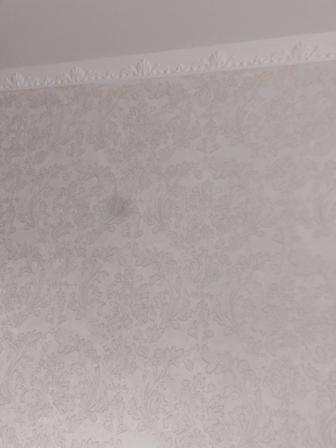 Строительство ремонт