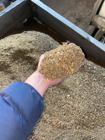 Отходы от гречки