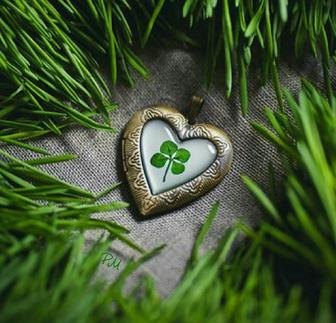 Услуги грамотного бухгалтера