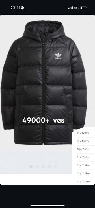 Услуги Байера