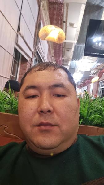 Трезвый водитель