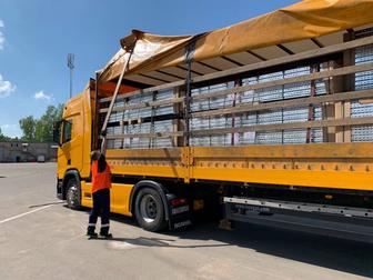 Грузоперевозки Фура Площадка Трал Рефрижератор Газель Камаз Еврофура