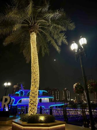 Услуги Байера, США, Европа, Китай