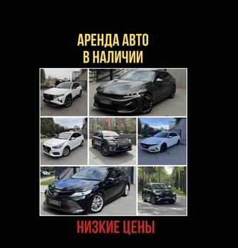 Аренда авто-Аренда машин-Прокат авто