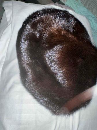 Продам норковую шапку /беретка