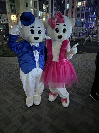 Прокат мишки