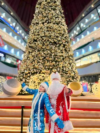 Дед Мороз Снегурочка