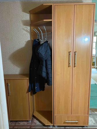 Плательный шкаф в прихожую
