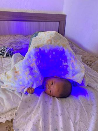 Аренда фотолампа