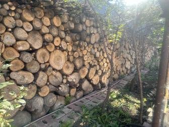 Продам дрова сухие