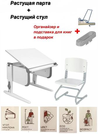 Растущая парта и стул