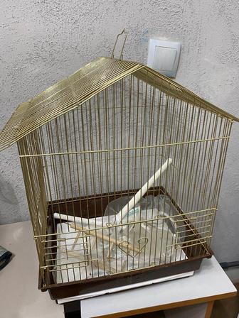 Сетка для птиц