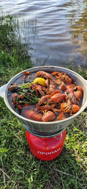 Живые раки в Караганде