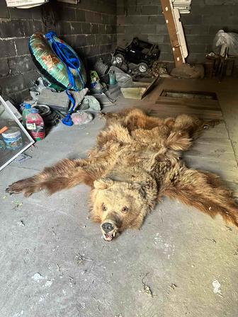 Продам мишку или обменяю