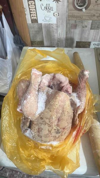Продам мясо бройлерных цыплят