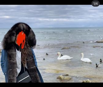 Парка женская