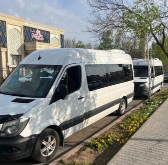 Пассажирские перевозки