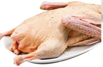 Продаю Домашнее мясо птицы Гусь , Утка