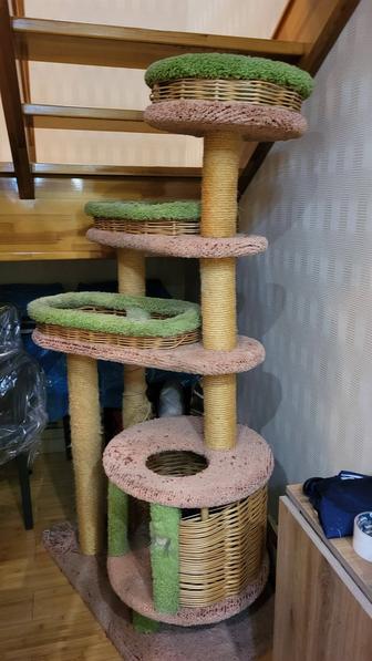 Животное, для кошек