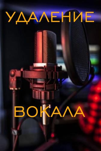 Удаление вокала из песен Чистый минус MP3 Быстро