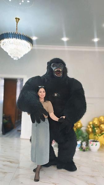 Аренда аниматоров