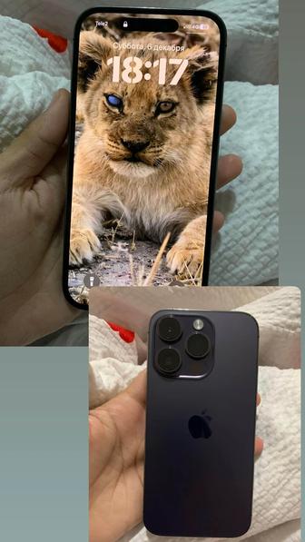 Айфон14 про