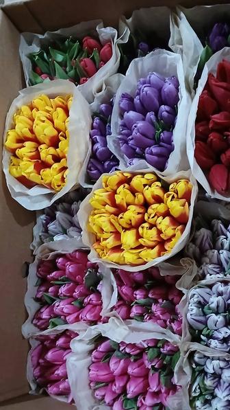 Продам тюльпаны белорусские