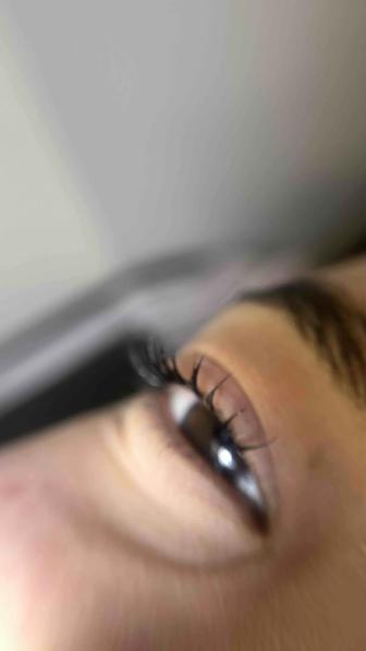 Обучение бровиста и ламимейкера