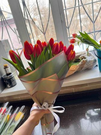 Тюльпаны свежие