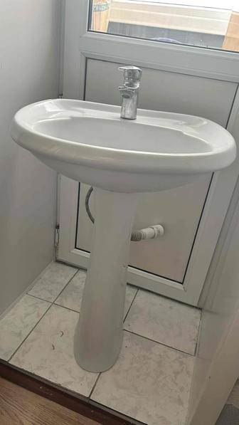 Раковина тюльпан