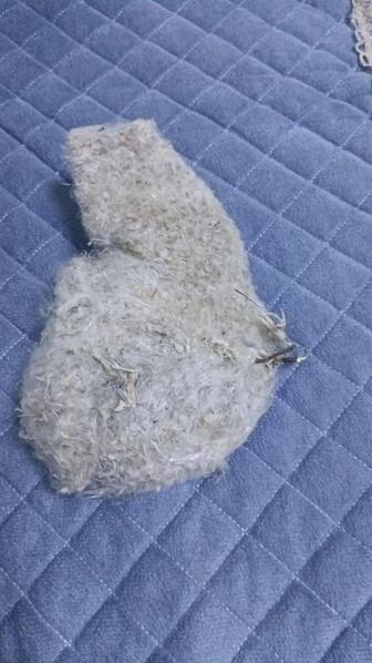 Куркылтайтын уясы