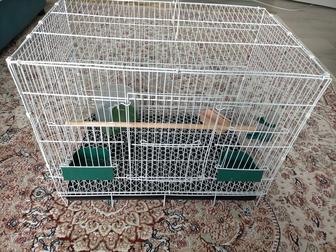 Продам большую клетку!