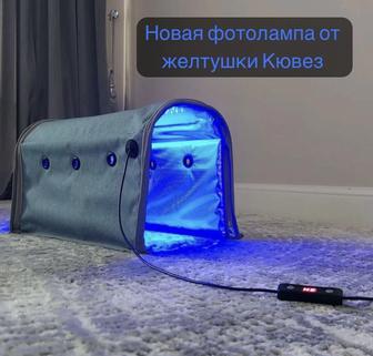 Аренда фотолампа