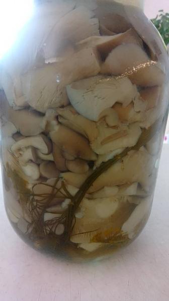 Продам домашнее соление