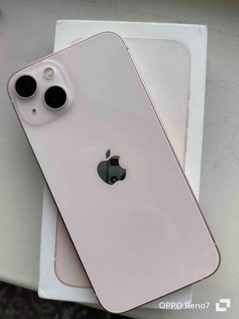 Apple 13