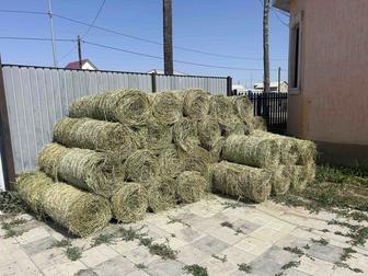 Жоңышқа
