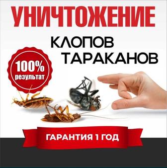 Дезинфекция! СЭС! Уничтожение тараканов, клопов, блох и пр