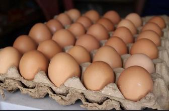 Продам свежее домашнее куриное яйцо