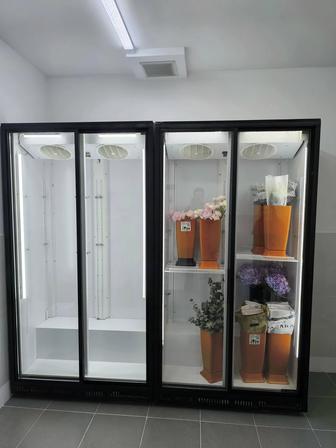Витринные холодильники, витриные холодильники, Display refrigerators