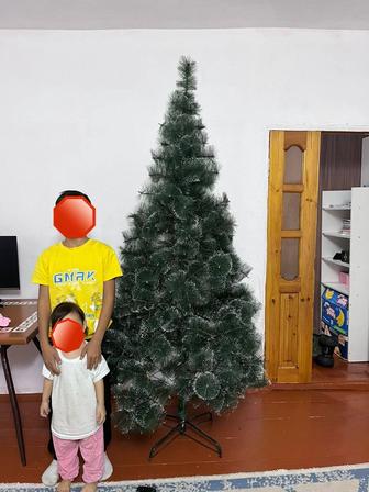 Продается пышная елка