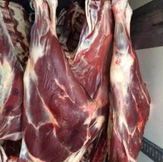 Мясо конина