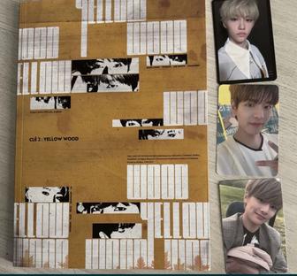 Срочно! альбом Stray Kids Cl 2 Yellow Wood