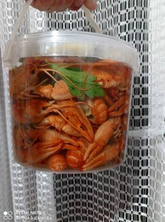 Морские Раки в наличии