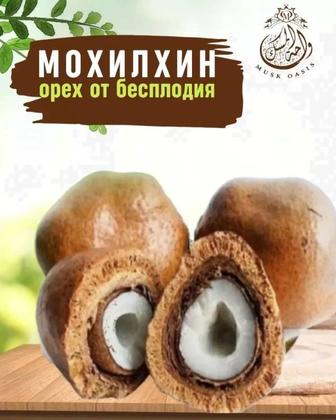 Мохалхин 1 шт