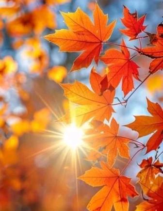 Предлагаю услуги Няни у себя дома